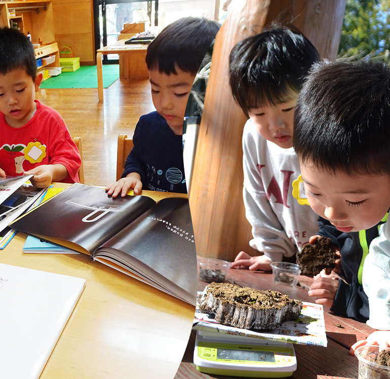 認定こども園ぶどうの木竜ケ崎幼稚園