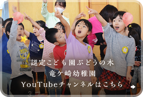 認定こども園ぶどうの木 竜ケ崎幼稚園 YouTubeチャンネルはこちら
